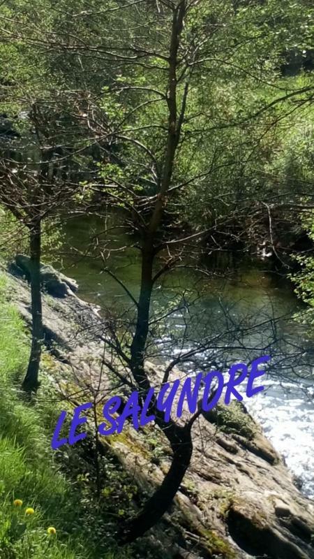 Gite Du Devez Des Bruyeres Prades  Bagian luar foto